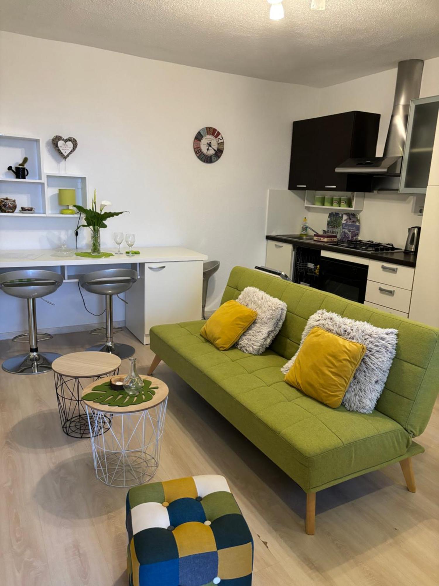 Apartman Edina 里耶卡 外观 照片