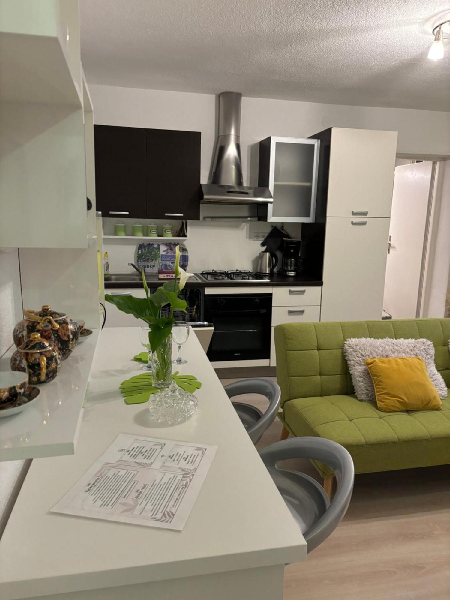 Apartman Edina 里耶卡 外观 照片